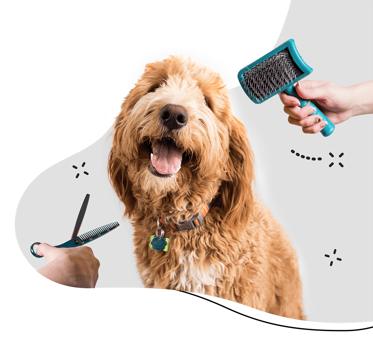 https://demo.petstation.qa/wp-content/uploads/2019/08/hero_home_3.png